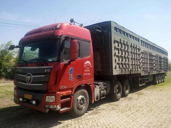 武義到集安貨運(yùn)公司電話武義到集安貨運(yùn)公司電話號(hào)碼