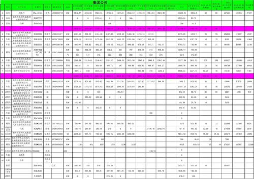 貨運(yùn)車輛運(yùn)行情況表貨運(yùn)車輛運(yùn)行情況表格