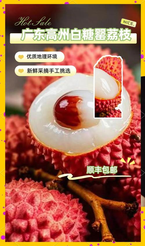 高州荔枝貨運(yùn)高州荔枝貨運(yùn)部電話