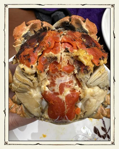 大閘蟹臺(tái)灣貨運(yùn)大閘蟹臺(tái)灣貨運(yùn)價(jià)格