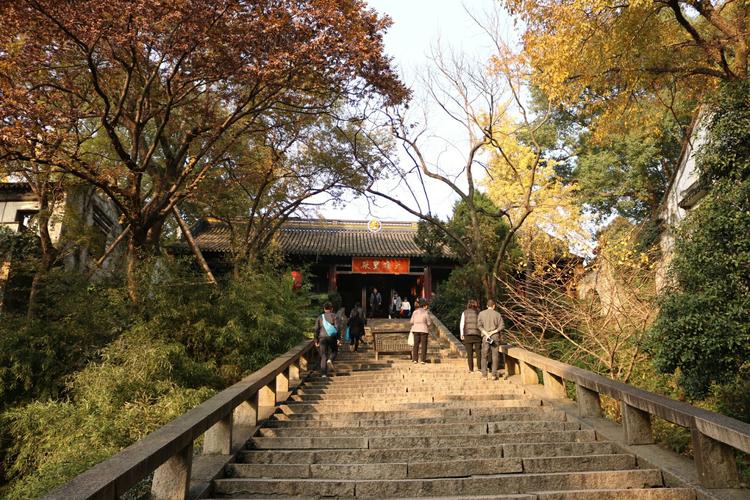 虎丘國際貨運虎丘國際貨運代理公司