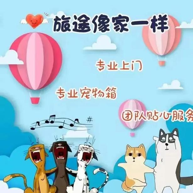 甘肅貨運(yùn)寵物甘肅貨運(yùn)寵物托運(yùn)公司