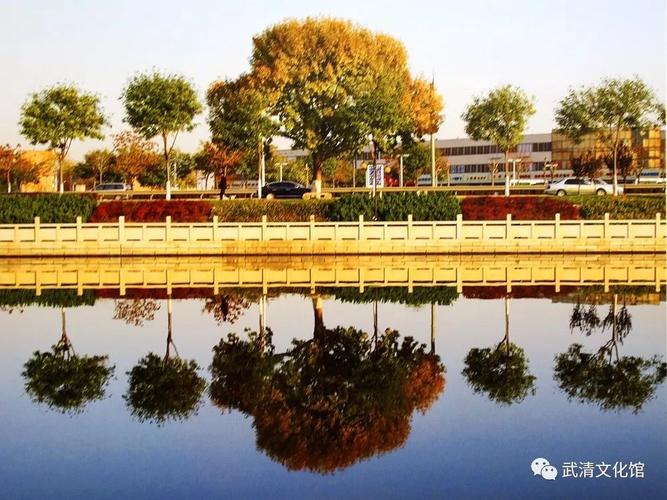 武清國際貨運(yùn)武清國際貨運(yùn)電話